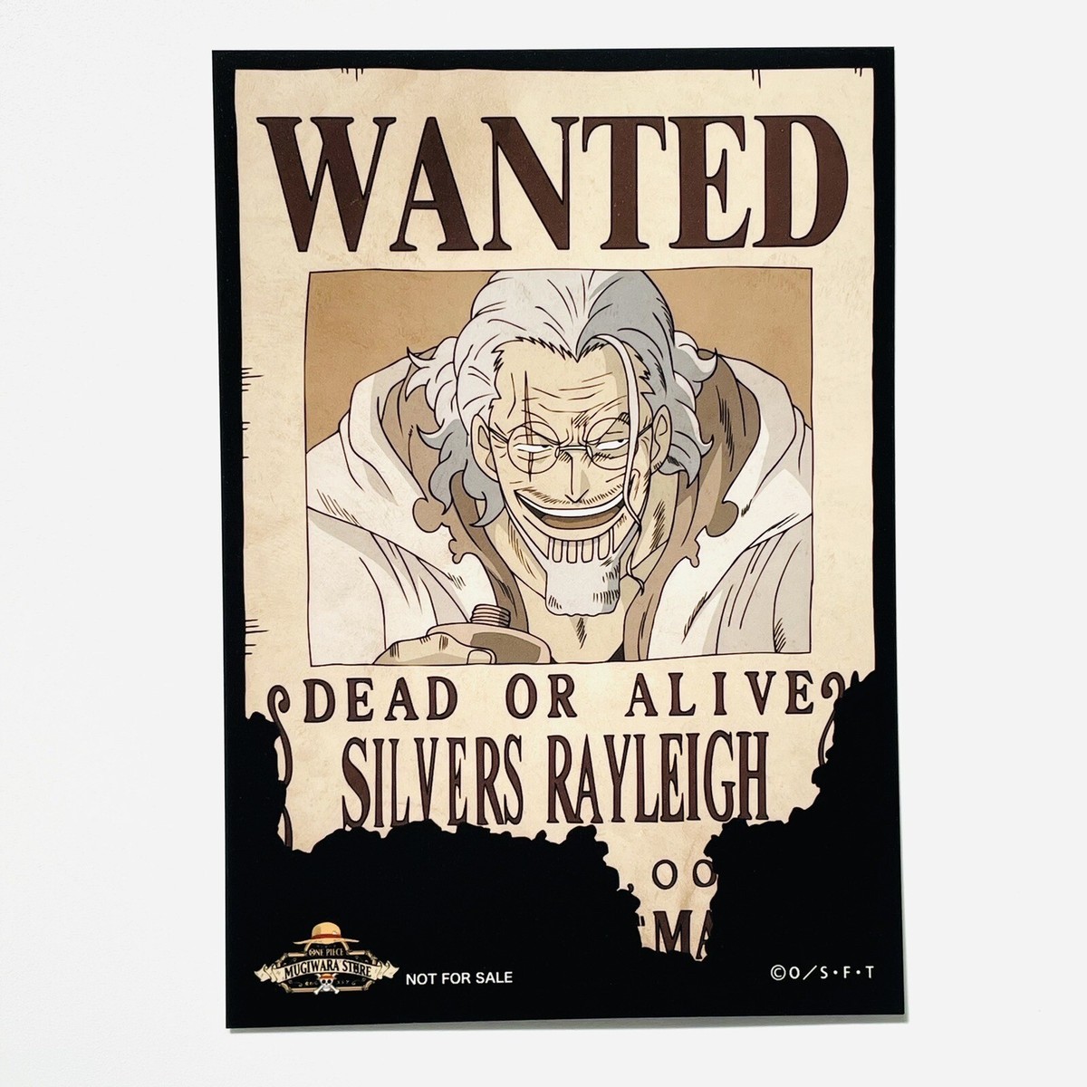 aportrait of Ray (非売品)｜CD・DVD・ブルーレイ 