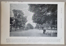 1895 Antique Large Photoprint THE AVENUE DONCASTER Horse Racing