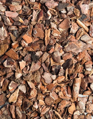 GGL SMALL ORCHID BARKS | Terrarium Substrate | Supplies | Natural Bark Decoration