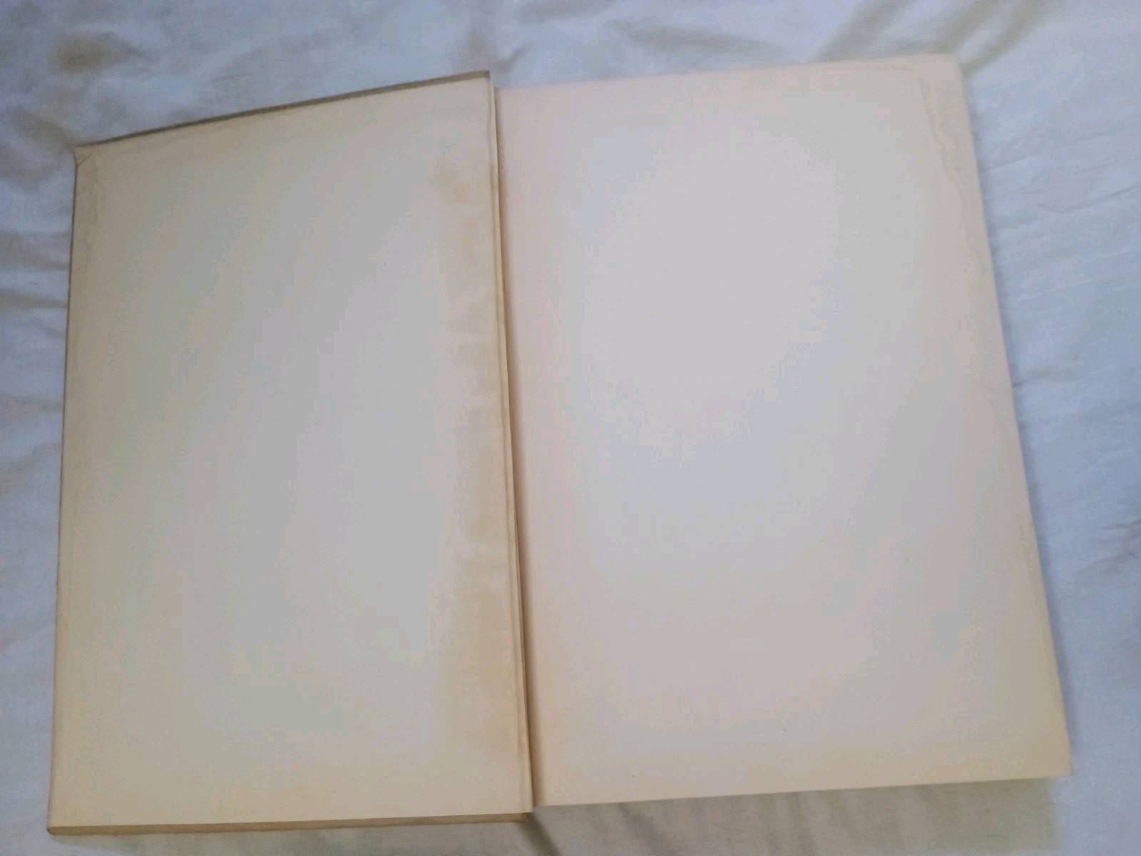 Picture 7 of 20