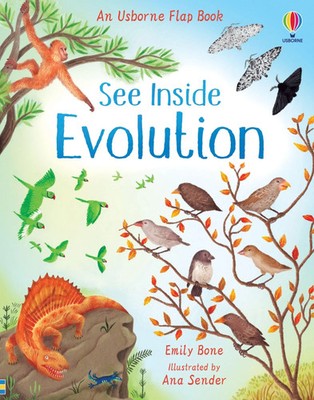 See Inside Evolution | Emily Bone | Englisch | Buch | Usborne Publishing | 2021