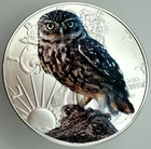 American Owl - American Silver Eagle 1oz .999 Limited Edition Silver Dollar Coin