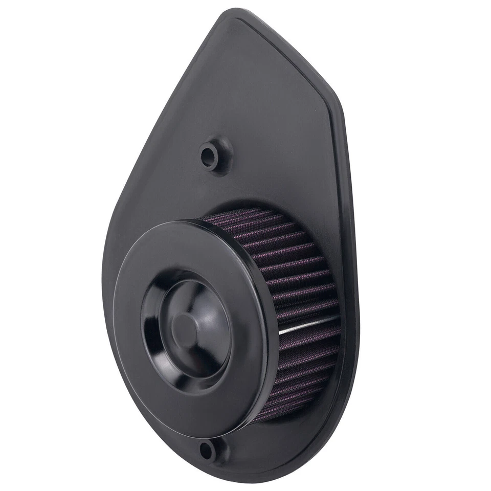 Air Filter Intake Cleaner for Harley Street 500 750 XG500 XG750 2015-2020 2016 Foto 2 de 4