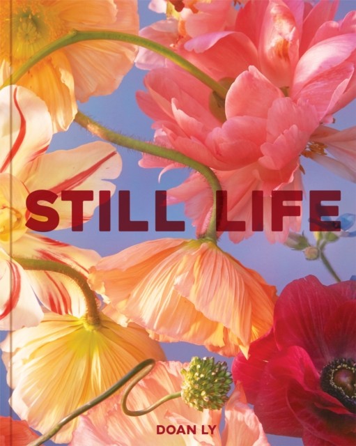 Still Life by Doan Ly (Hardback Book)