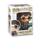 Funko POP! Harry Potter with two wands #118 Barnes & Noble Exclusive