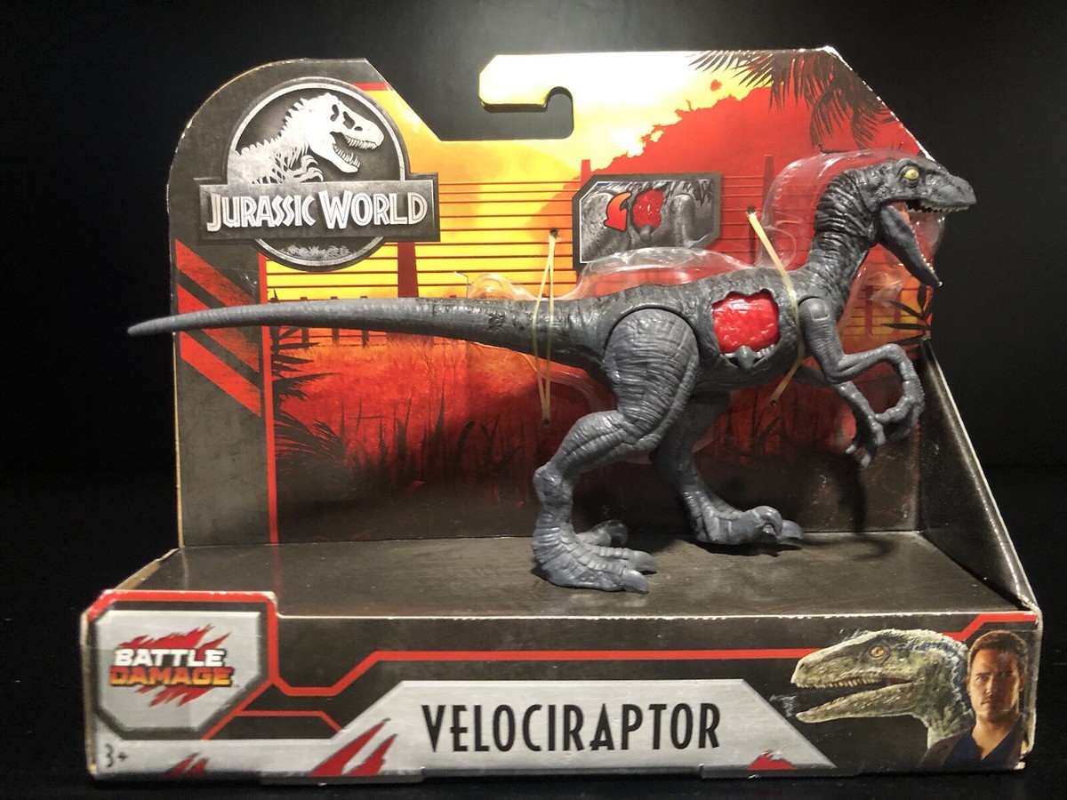 MLVINCE RAPTOR LOW　ブラック28cm/ US10 MLVINCE RAPTOR LOW ブラック28cm/ US10 MLVINCE RAPTOR LOW - Spyder