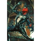 Amazing Spider-Man: Incentive Lee Bermejo Amazing Visions Virgin Cover - PANINI