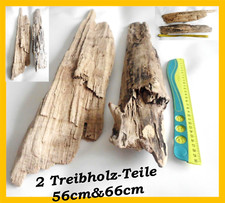 Treibholz Schwemmholz Skulptur Floristik Bedarf Terrarium 2 Teile basteln Deko