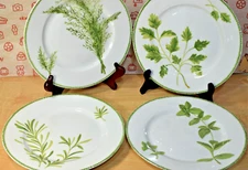 The Cellar Macy's 9" Luncheon Plates - Set of 4