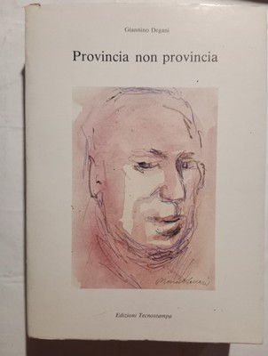PROVINZ NICHT PROVINZ. GIANNINO DEGANI. TECNODRUCKA. 1982 VERSAND: GRATIS