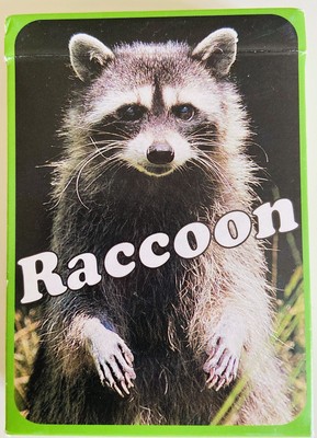 Karten Raccoon 56 Stück zum Erfinden von Geschichten Waschbären Selten