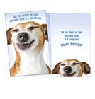 5 X 7 Inches Happy Birthday Greeting Card Funny Humor Cute SW