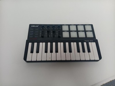 WORLDE L MIDI KEYBOARD PANDA MINI (P08036662)
