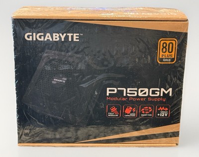 Modular Power Supply Gigabyte P750GM 80 PLUS GOLD 12v 120mm BRAND NEW IN BOX