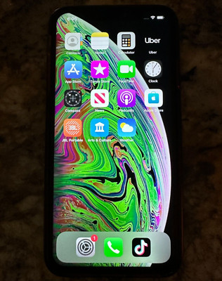 Apple iPhone XS Max - 256 GB with Tik Tok (AT&T) TIKTOK 