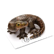 Little Critterz - Komodo Dragon "Indonesia" - Miniature Porcelain Figurine