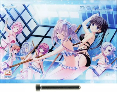 Original A6 Acrylic Panel Set for D.C.4 PC Software Collectible