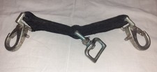 Longierbrille