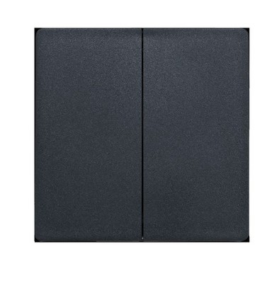 Eltako 30055956 DW-F4T55E/10-am anthrazit matt Doppelwippe