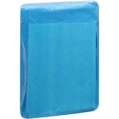 Attends Dri-Sorb Underpad 23'' x 24'' -Bag of 10 #UFS-230