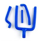 Foto 1 di 3