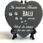 Bild 13 von 22