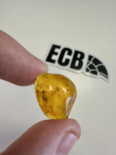 Baltic Amber With Mosquito Inclusion. 100% Real, No Fakes. Uk Seller 🇬🇧 - 第 1/5 張圖片