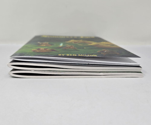 Realms of Peril Adventures Field Guide +GM Handbook +Summer's End RPG Fantasy - Picture 17 of 19