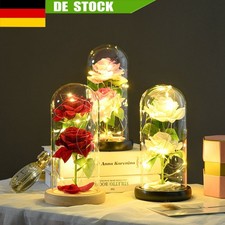 LED Ewige Rose im Glas f&uuml;r Frauen Geburtstag Sch&ouml;ne Biest Valentinstag Geschenk