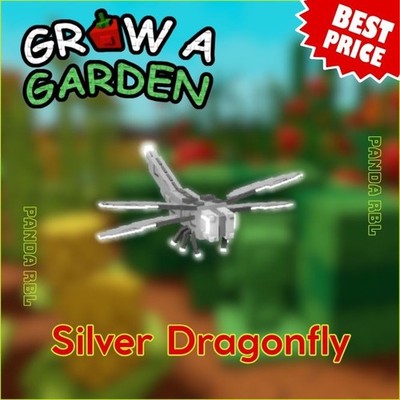 【ノブタ】dragonfly  generix 51Sv6Vxb6eL._AC_UF350,