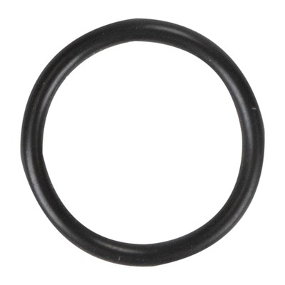 Original O-Ring FCA 55216568