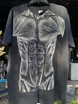 Vintage XL 1977 Leslie Arwin ~ Pat Bova MUSCLES Anatomy Shirt | eBay
