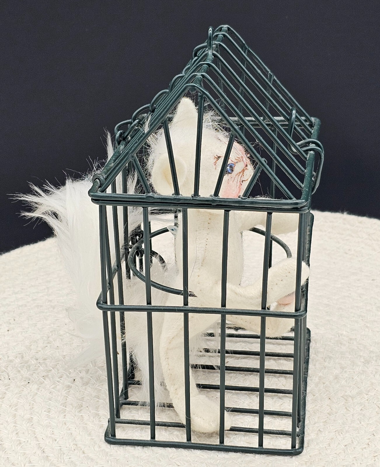 Picture 6 of 11