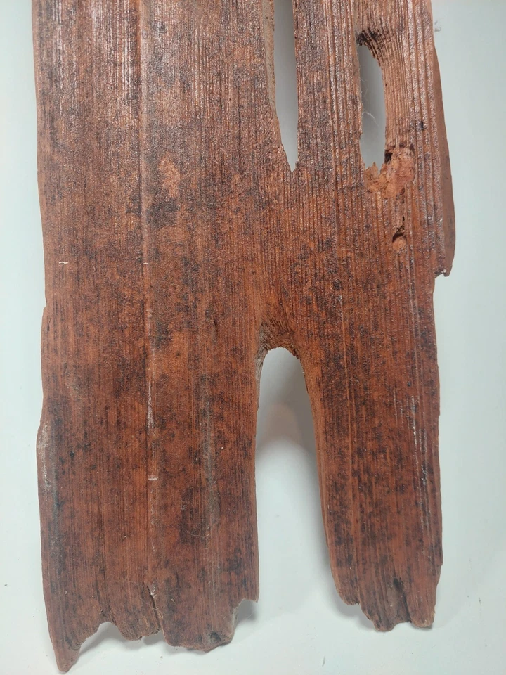 Antiguo tablón de madera a la deriva encontrado años 70 Florida Gulf Coast posible naufragio 24" Foto 4 de 4