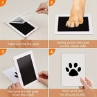 Foto 9 di 9