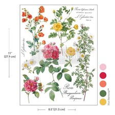 Poetry and Petals  H20 Transfer  1 Sheet  8.5" x 11"  Redesign with Prima