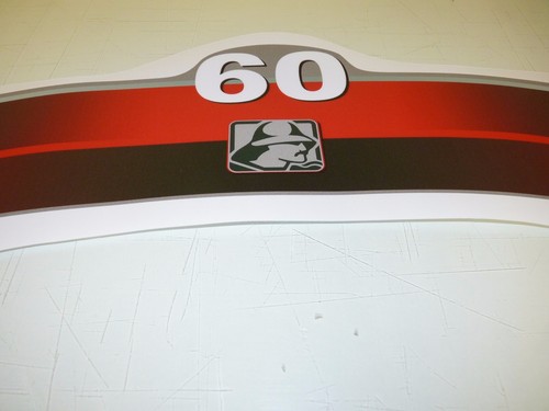 Mariner 60 HP EFI four stroke outboard engine decal sticker set kit reproduction - Picture 3 of 4