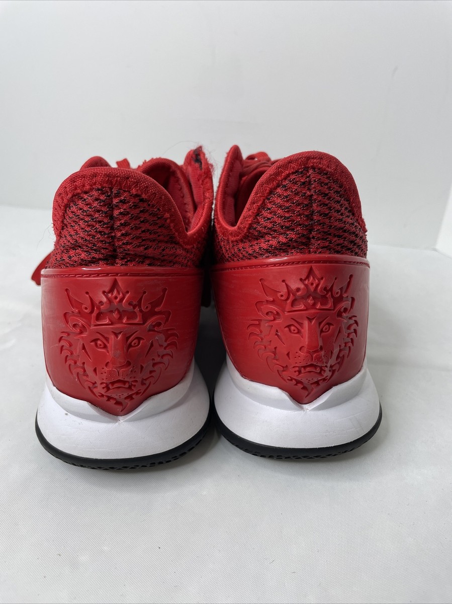 lebron shoes lion logo