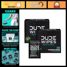 Flushable Wipes for Adults - 2 Pack, 60 Count - Mint Chill, Extra-Large, Eucalyp