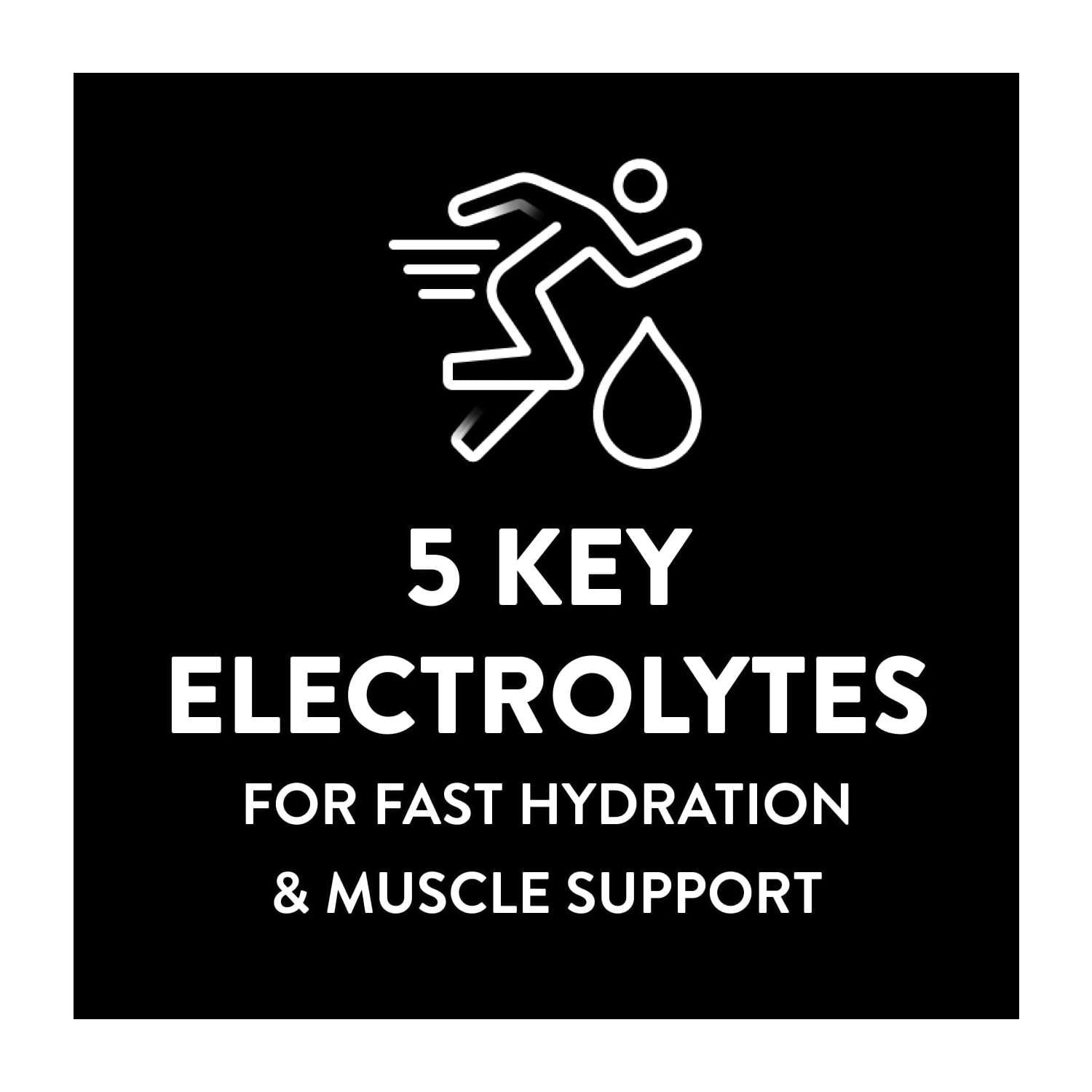 Sport Electrolyte Solution With 5 Key Electrolytes, Lemon Lime,1 Liter,Pack of 4