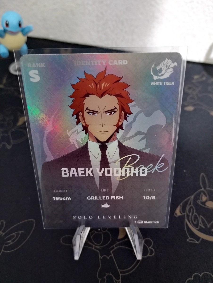 BRICKS MONO POST CARD 1988 スプリングコレクション Solo Leveling Mapniverse V2 Baek Yoonho *PM SL2E-05 Rare Identity