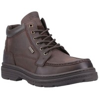 Cotswold Men's Cricklade Boots - Brown