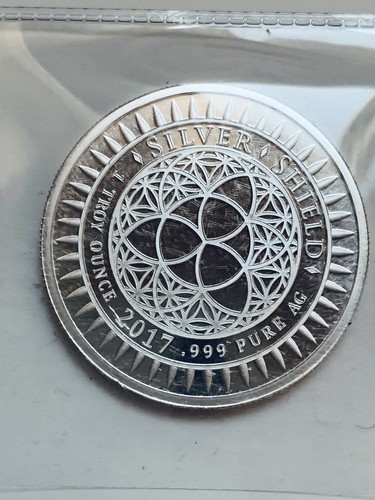 2017 1oz Government Sacks BU Silver Shield Death of the Dollar Series #9 - Picture 6 of 6