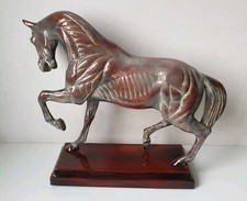 sculpture ecorche cheval resine Dlg isidore Bonheur