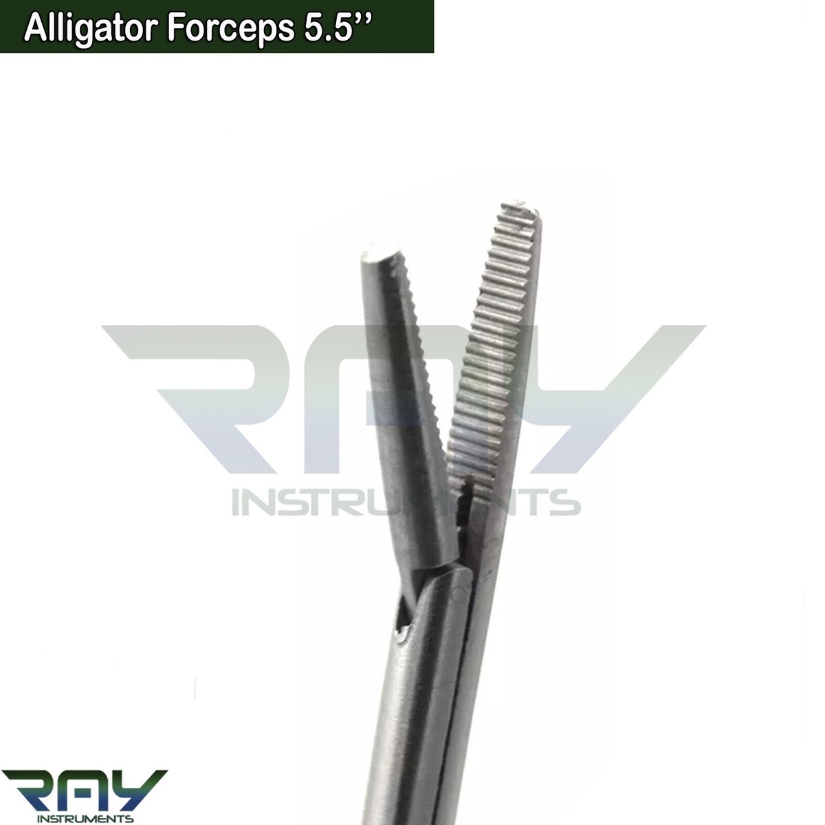 Alligator Grasping Forceps - : Leading Surgical Instruments