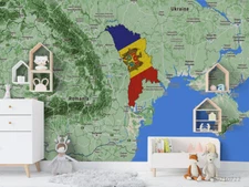 3D Map Flag Wallpaper Wall Mural Removable Self-adhesive Sticker1260