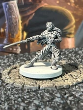 Keyleth Elf Paladin Legend of Drizzt D&D Miniature Dungeons Dragons ranger rogue