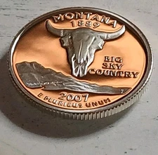 2007-S Dcam "Mirror-like" Proof - 90% SILVER "Montana" STATE Washington Quarter