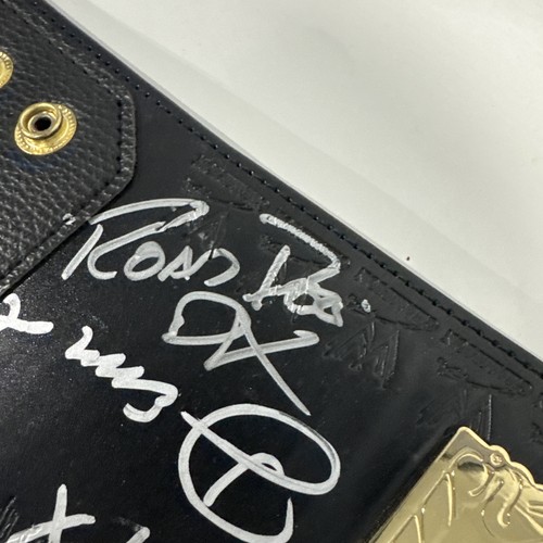WWE Tag Team Replica Belt Signed Hart Foundation, Demolition, DX - Foto 7 di 23