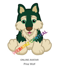 Webkinz Classic Pine Wolf Code Only  messaged 